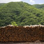 松木林業 大分県佐伯市の林業 木の伐採・薪販売